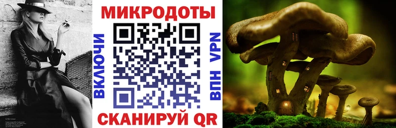 Псилоцибиновые грибы мухоморы  Купить где  Дыгулыбгей 